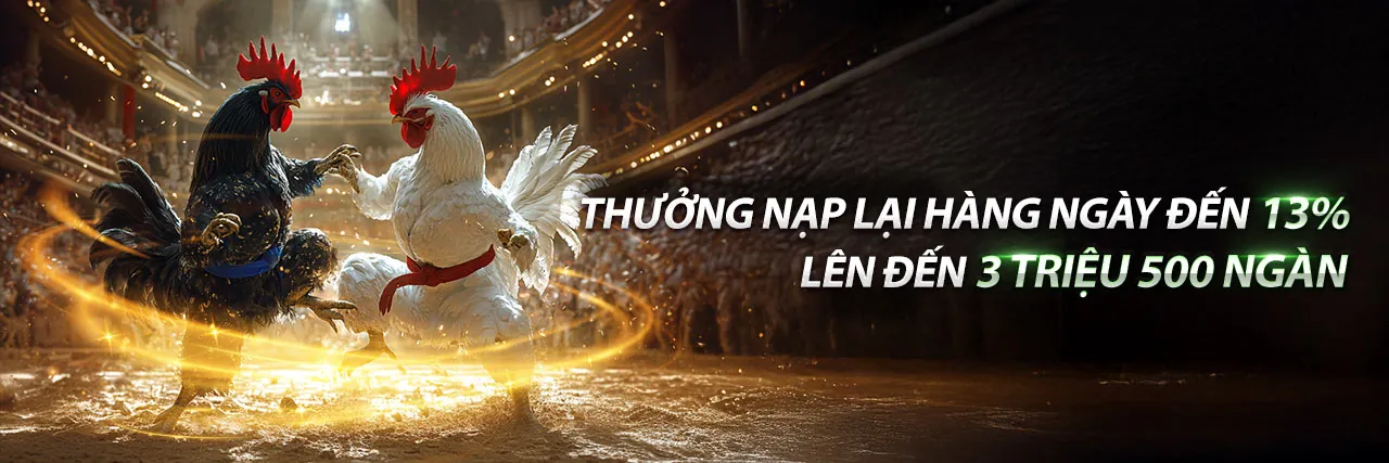 Đá Gà XYZ - Trận đấu gà kịch tính tại 5xyz